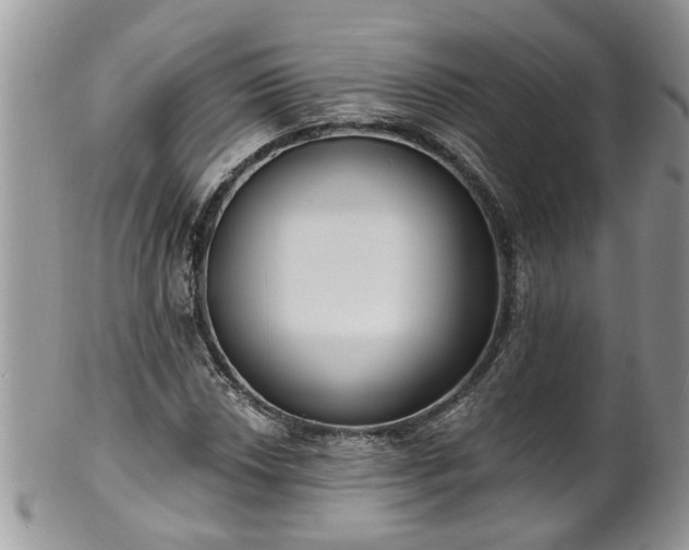 X0000101981018200807251229