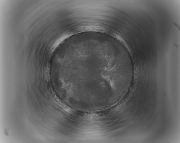 X0000101981019200807251229