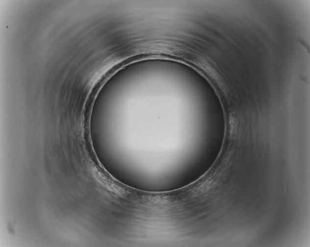 X0000101981020200807251229