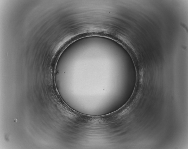 X0000101981021200807251229