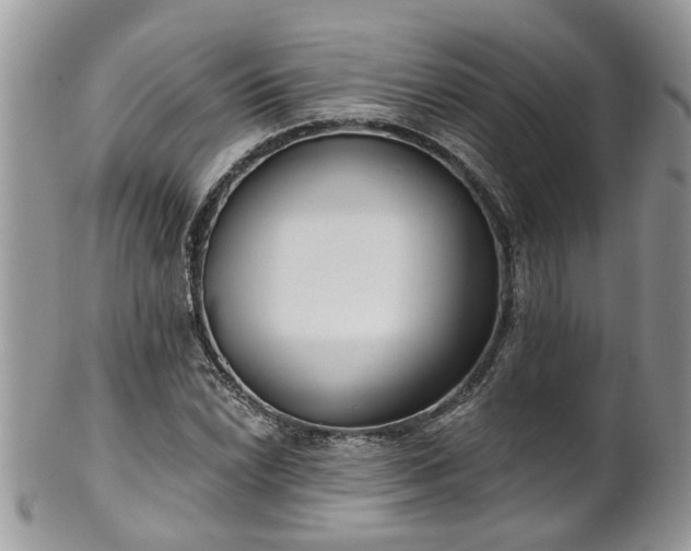 X0000101981022200807251229