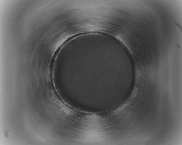 X0000101981023200807251229