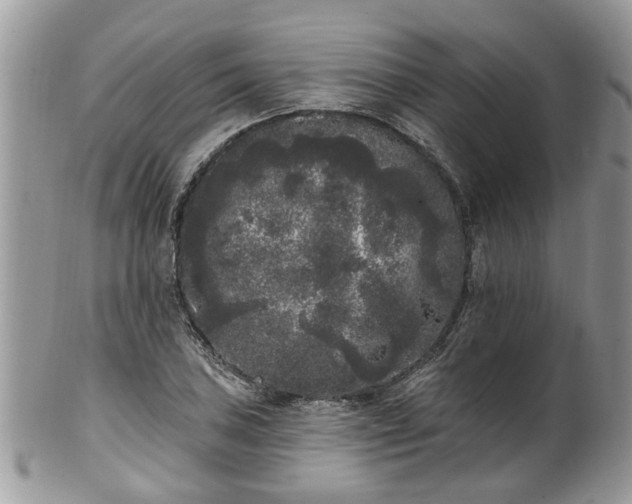 X0000101981027200807251229