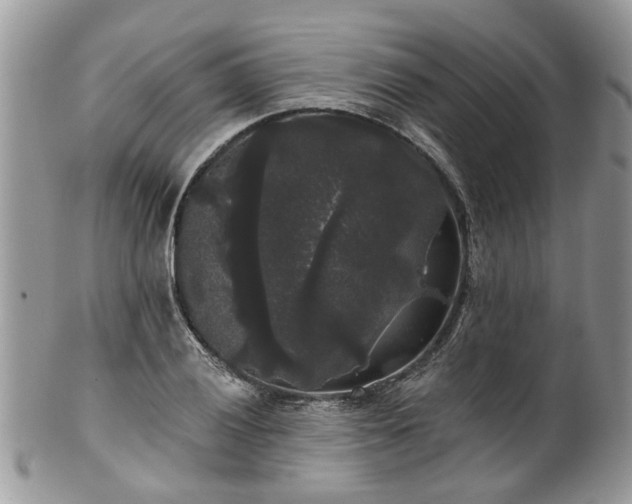 X0000101981028200807251229