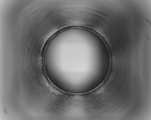 X0000101981029200807251229