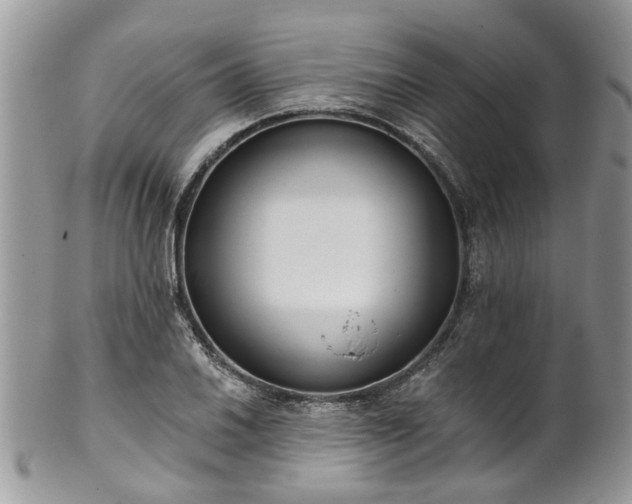 X0000101981030200807251229