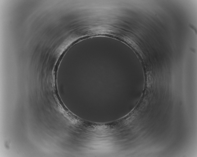 X0000101981031200807251229