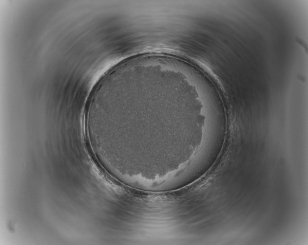 X0000101981032200807251229