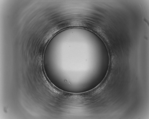 X0000101981033200807251229