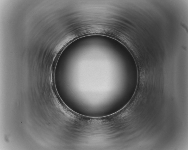 X0000101981034200807251229