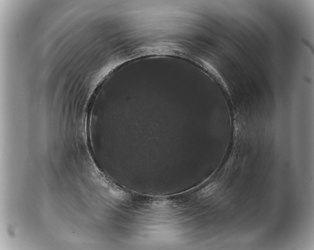 X0000101981035200807251229