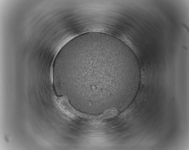 X0000101981036200807251229