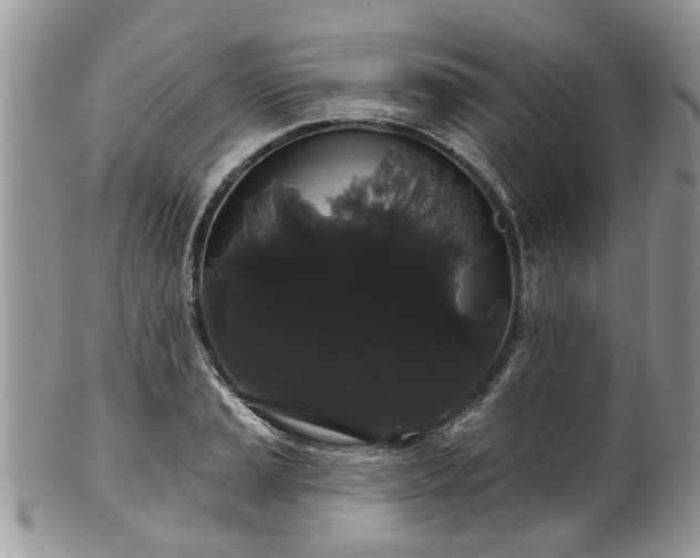 X0000101981037200807251229