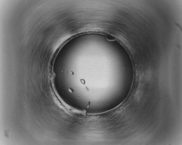 X0000101981038200807251229