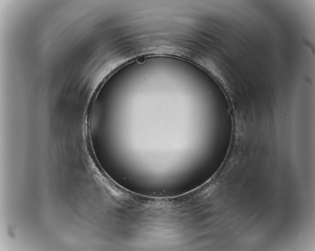 X0000101981040200807251229