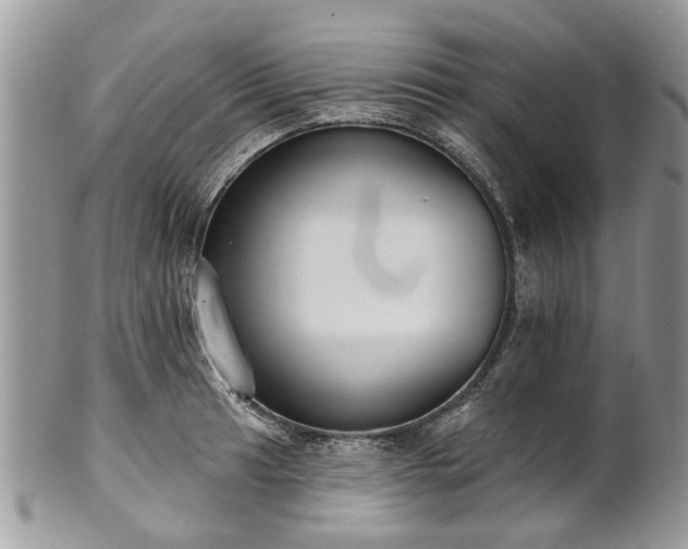 X0000101981041200807251229