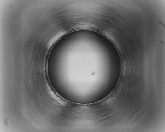 X0000101981042200807251229