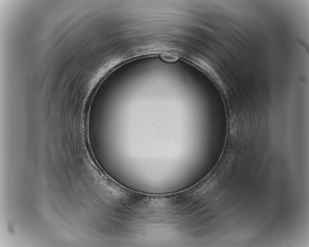 X0000101981043200807251229