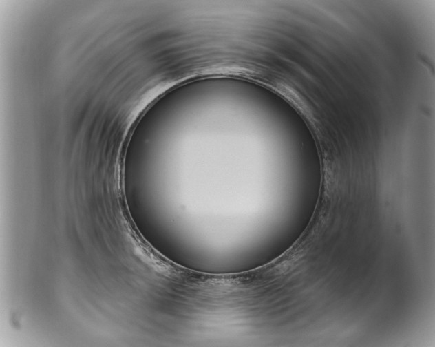 X0000101981044200807251229