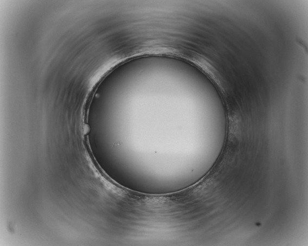 X0000101981046200807251229