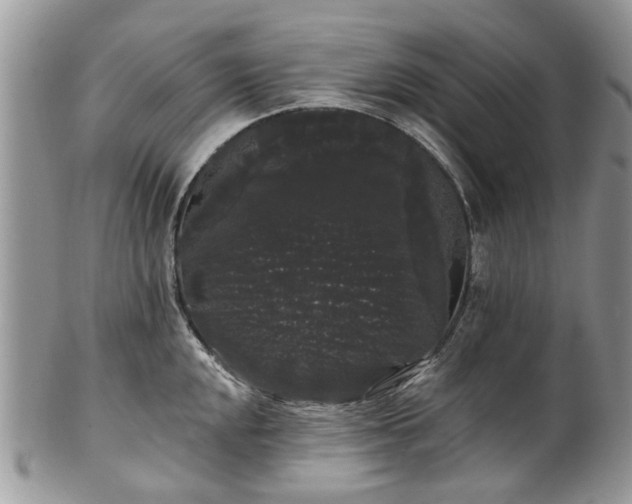 X0000101981048200807251229