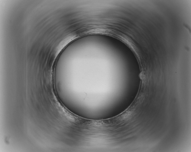 X0000101981050200807251229