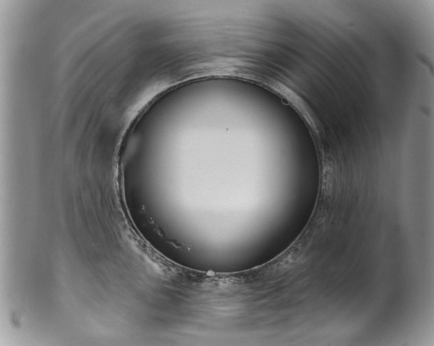 X0000101981051200807251229