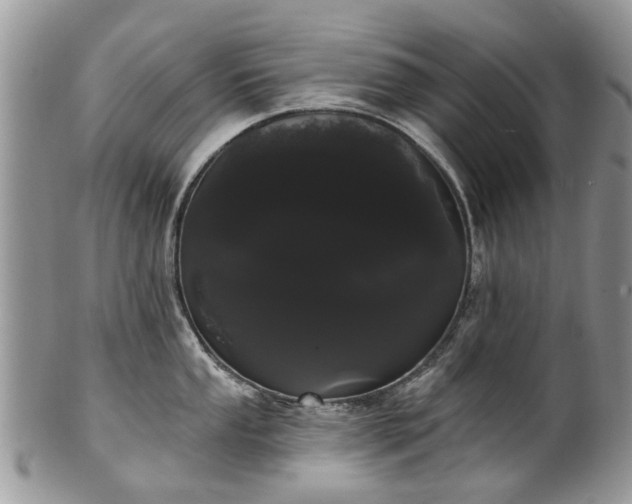 X0000101981053200807251229