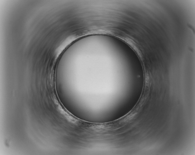 X0000101981054200807251229