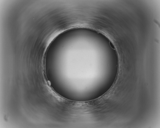 X0000101981056200807251229