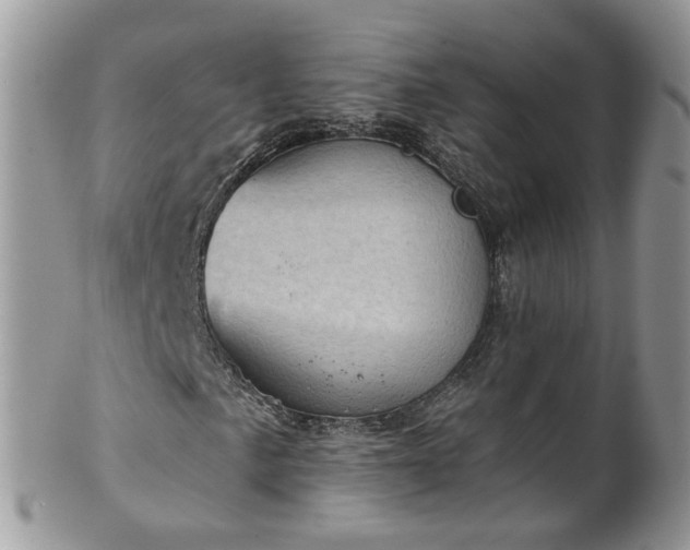 X0000101981057200807251228