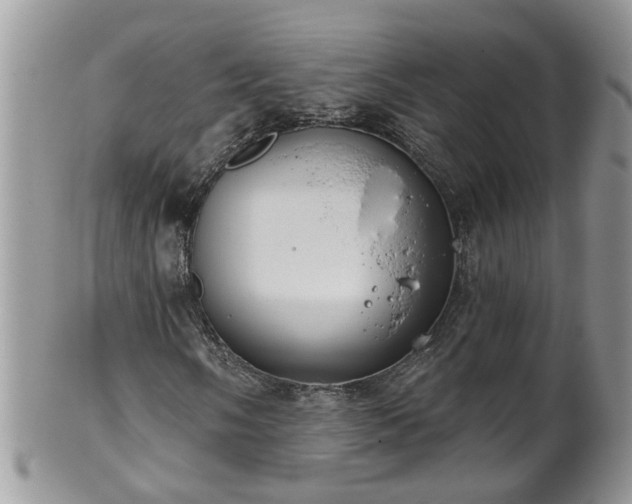 X0000101981058200807251228