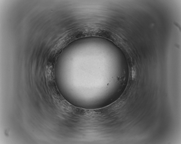 X0000101981059200807251228