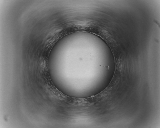 X0000101981061200807251228