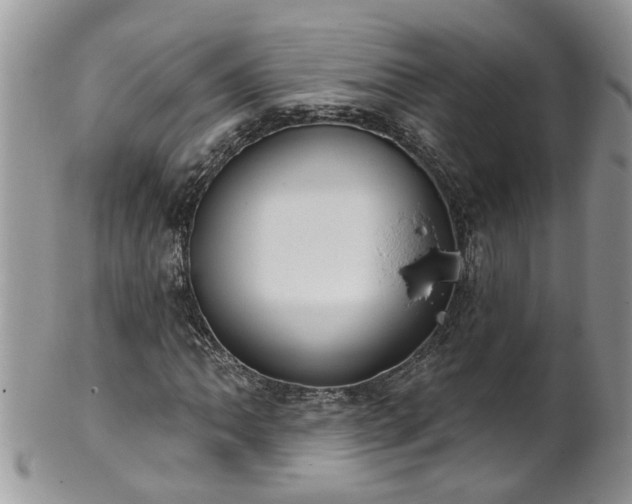 X0000101981062200807251228