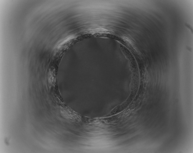 X0000101981063200807251228