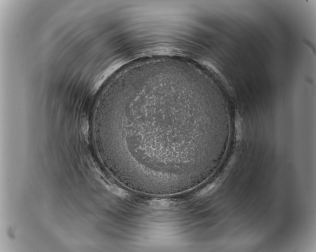 X0000101981065200807251228