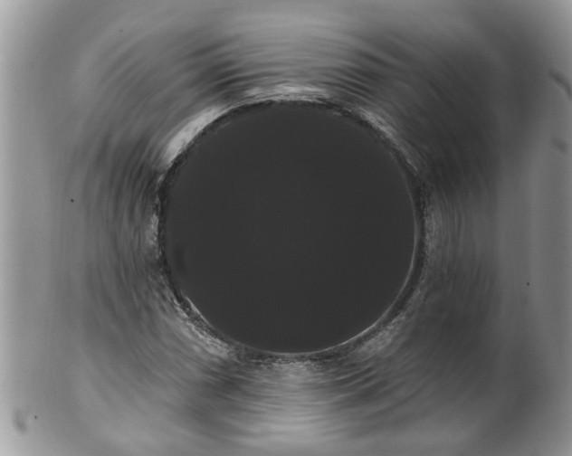 X0000101981066200807251228