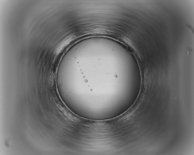 X0000101981067200807251228