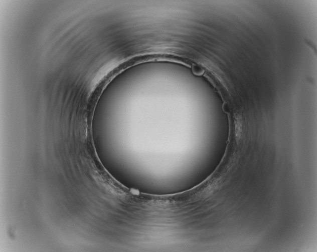 X0000101981069200807251228