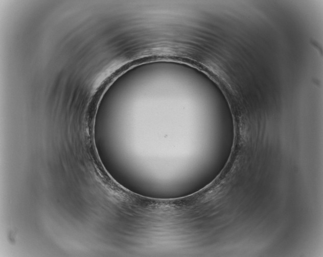 X0000101981070200807251228