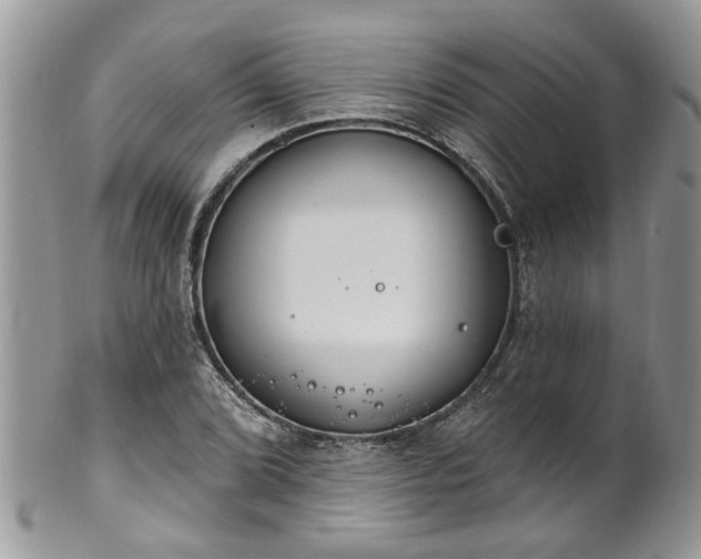 X0000101981072200807251228