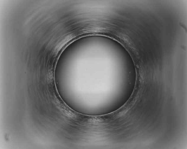 X0000101981073200807251228