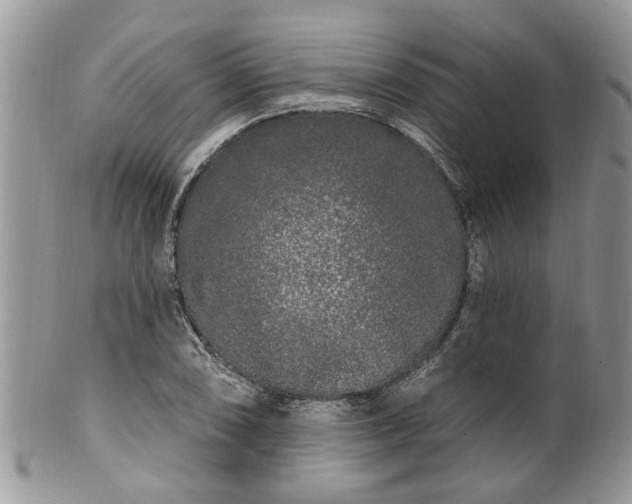 X0000101981074200807251228