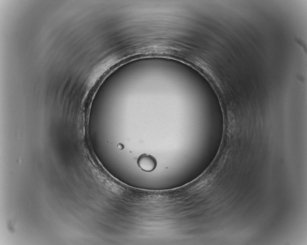 X0000101981075200807251228