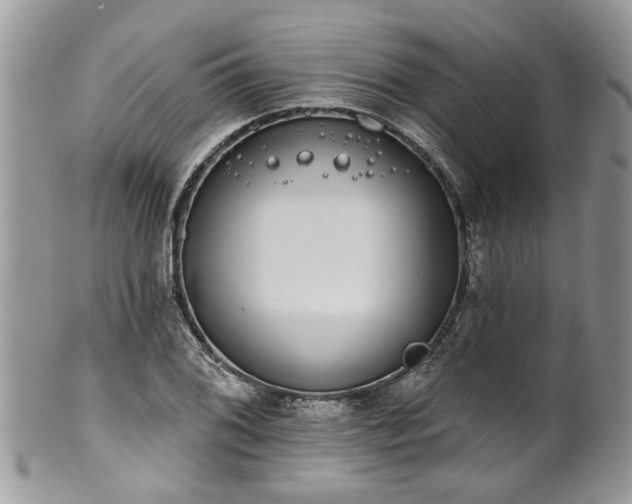 X0000101981076200807251228