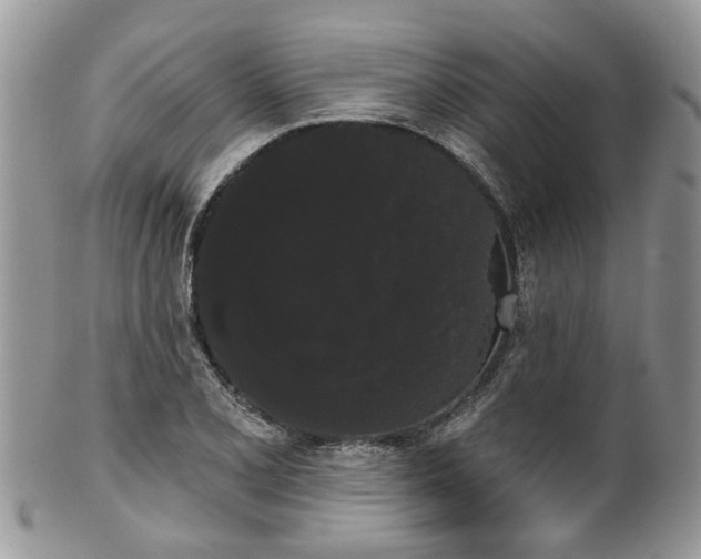 X0000101981077200807251228