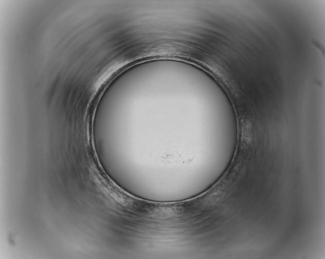 X0000101981078200807251228