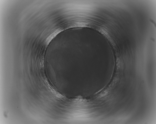 X0000101981081200807251228