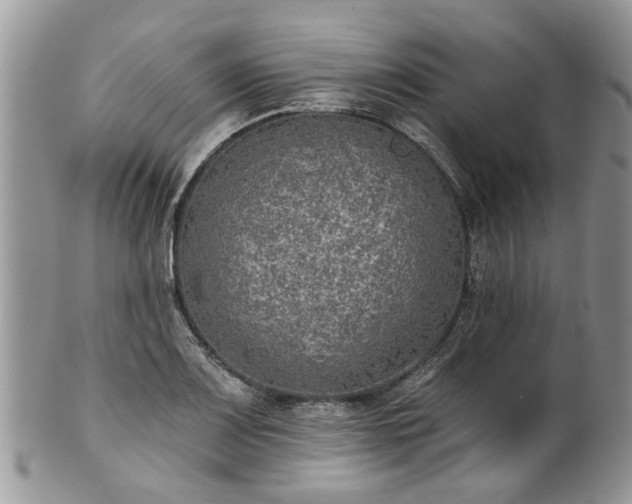 X0000101981083200807251228